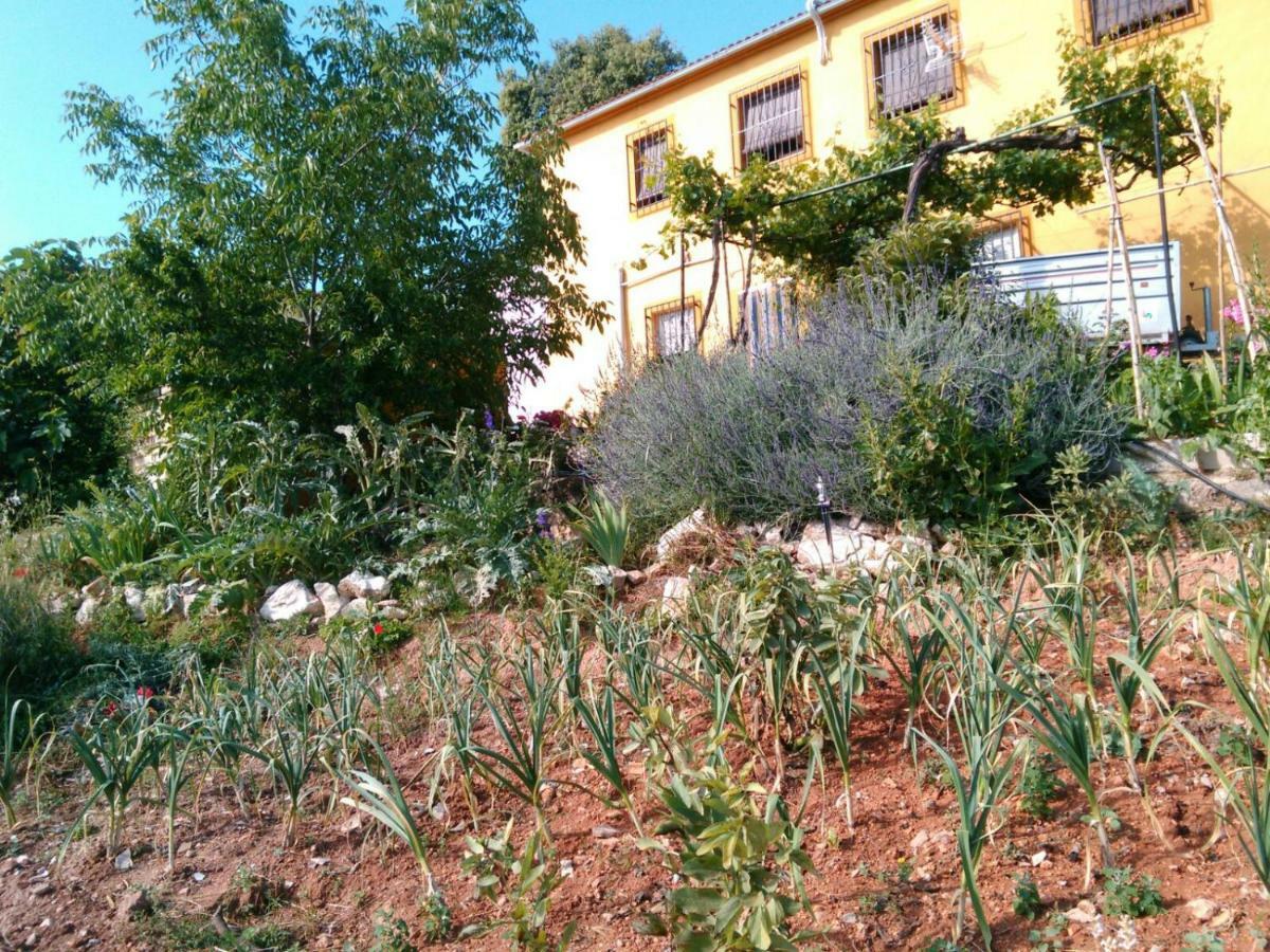 Cortijo De La Cruz Villa Iznájar Eksteriør billede